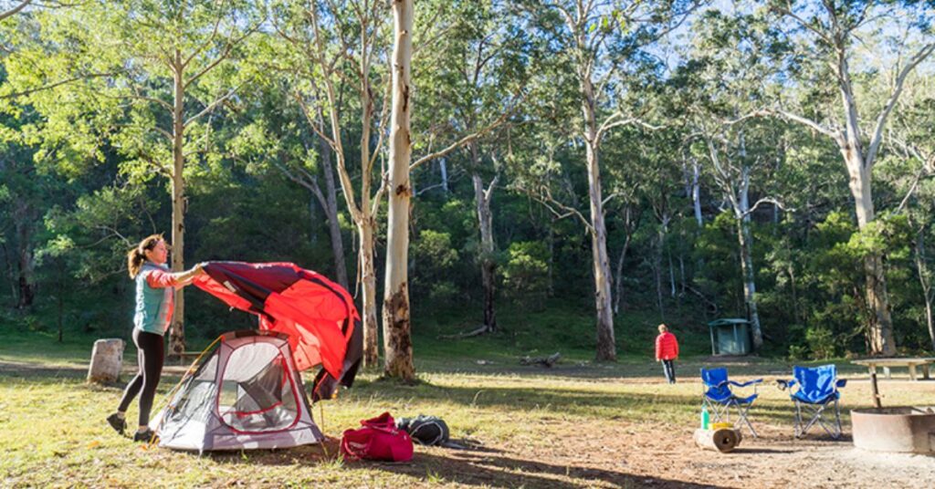 Things to do in Glenbrook Euroka Clearing
