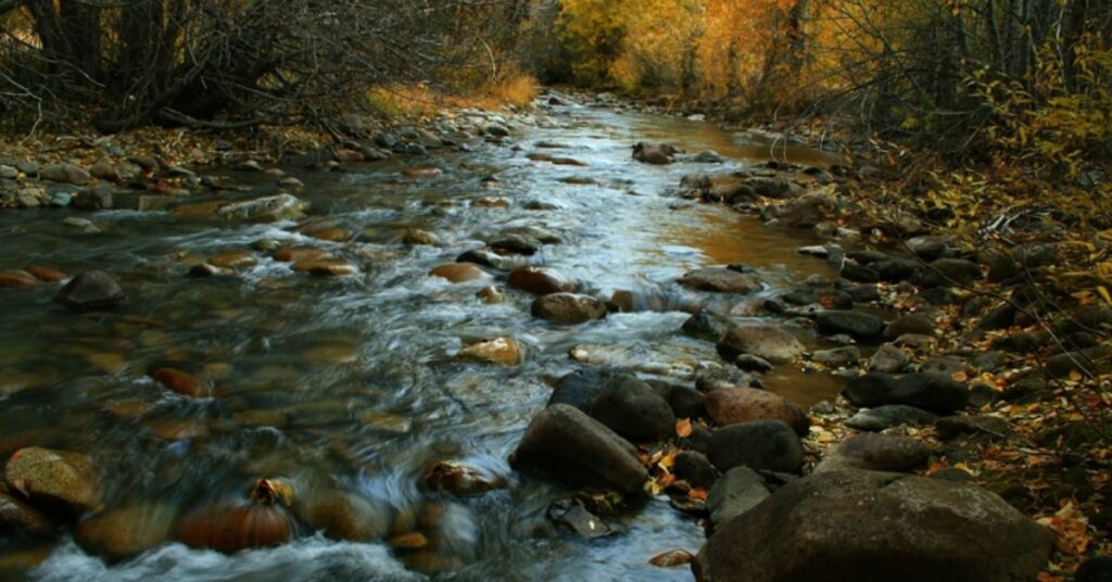 Things to Do in Sun Valley Big Wood River