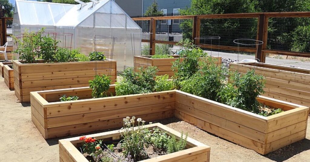 Things to do in Gardnerville Heritage Park Gardens 