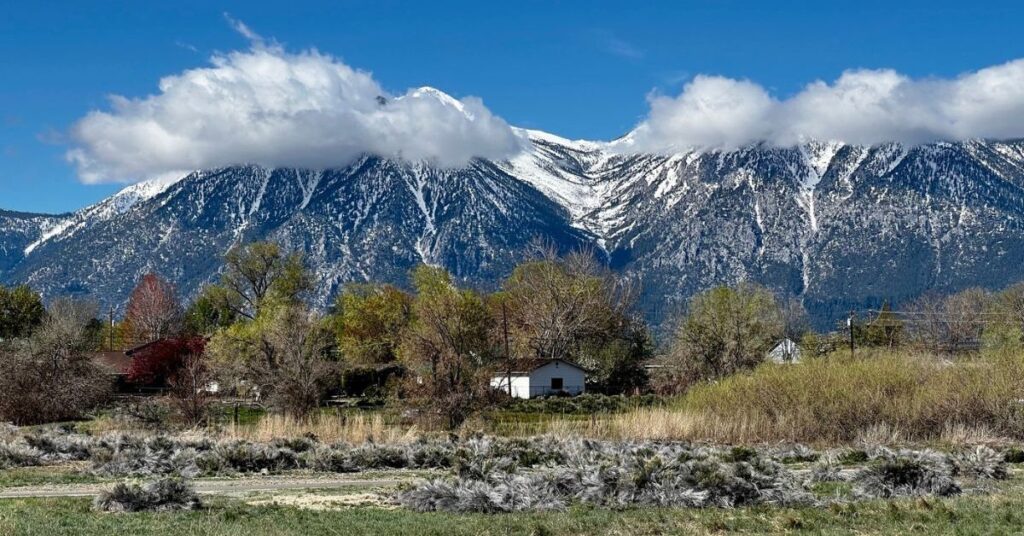 Things to do in Gardnerville Martin Slough Trail Area