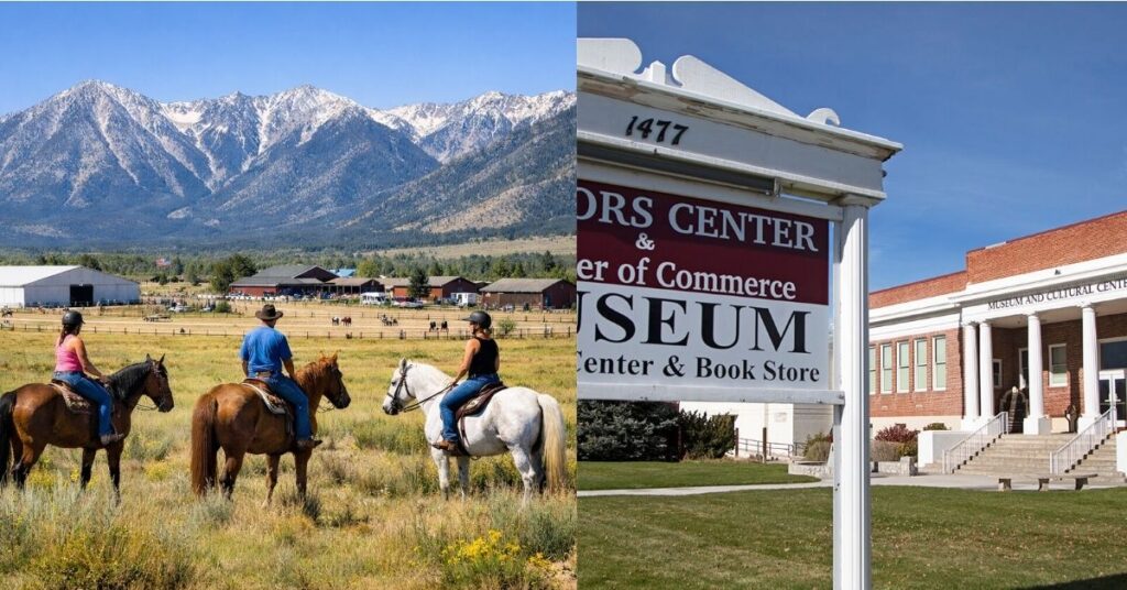 Things to do in Gardnerville Sheridan Creek Equestrian Center
