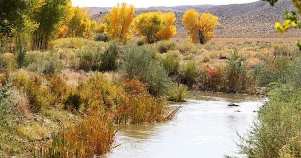 Things to Do in Yerington Walker River Recreation Area
