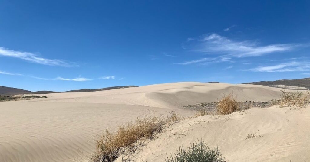 Things to Do in Winnemucca Sand Dunes Outdoor Recreation