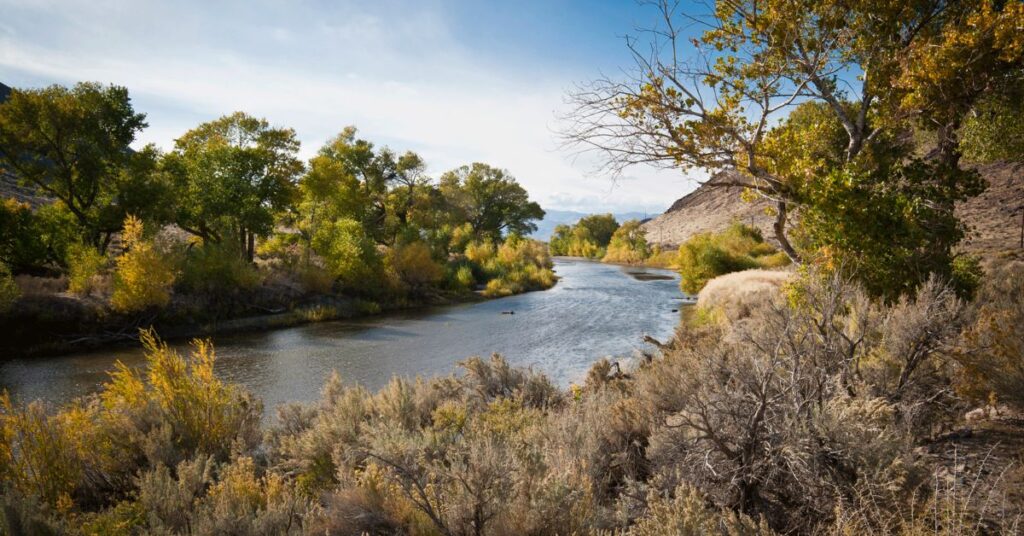 Things to Do in Lahontan Carson River