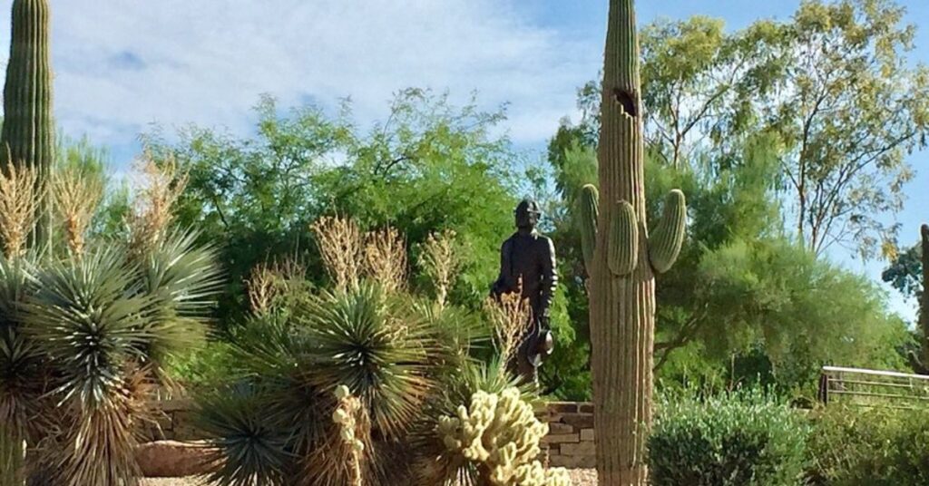 Things to do in Paradise Valley Barry Goldwater Park 