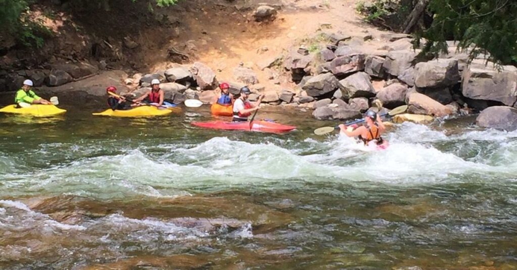 Things to do in Minden at Minden Wild Water Preserve showing wetlands with birds and native plant life