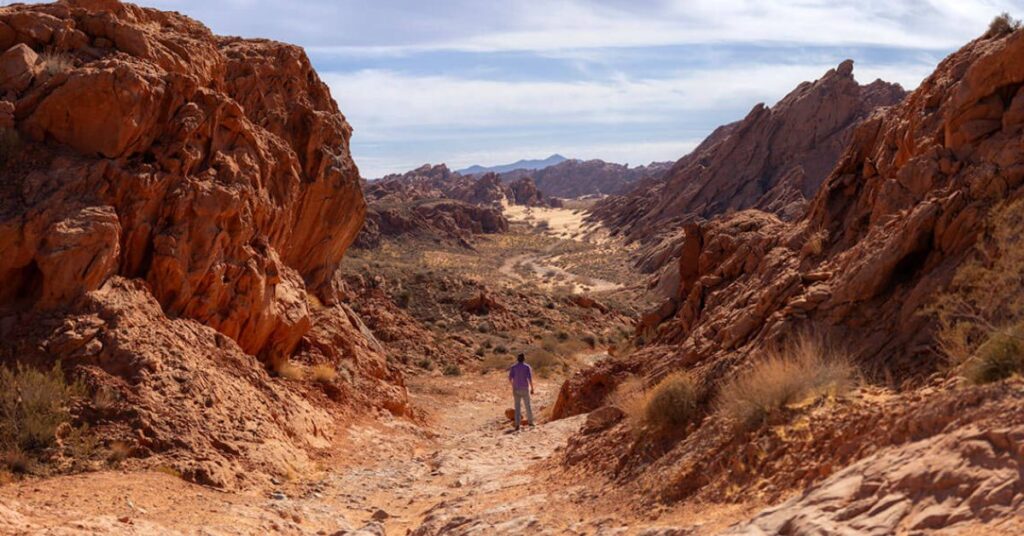 Things to do in Logandale Trails