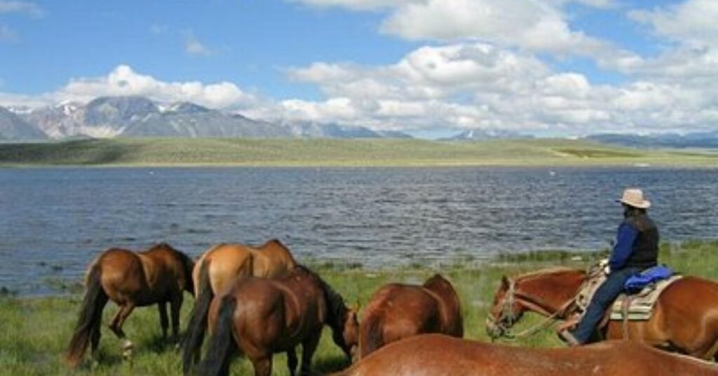 Things to do in Luning Outdoor Recreation