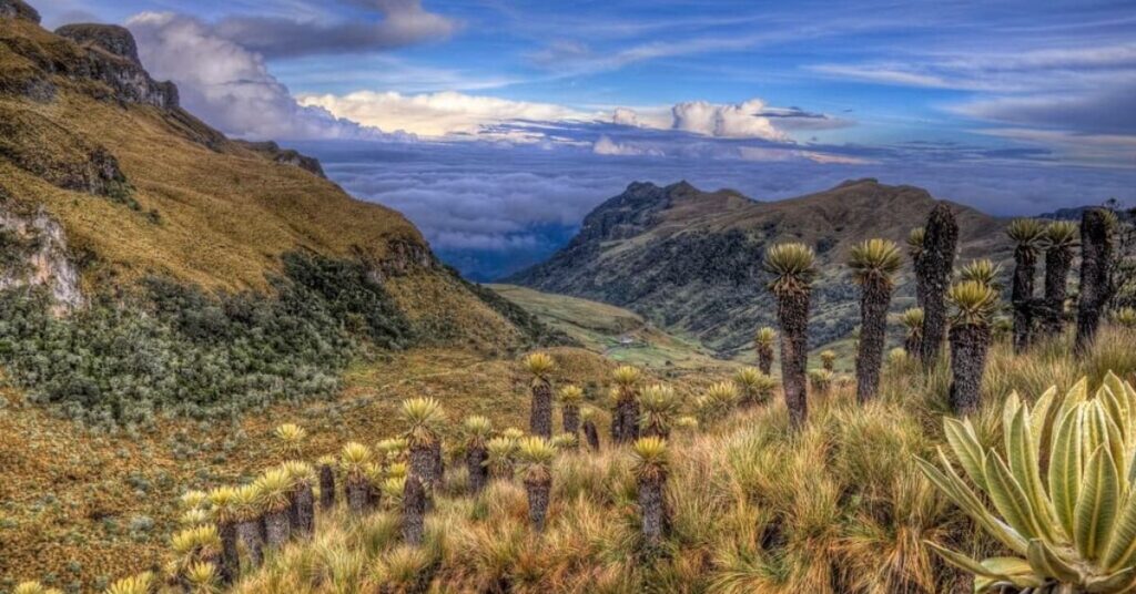 Things to do in Goldfield Columbia Mountain Scenic Area 