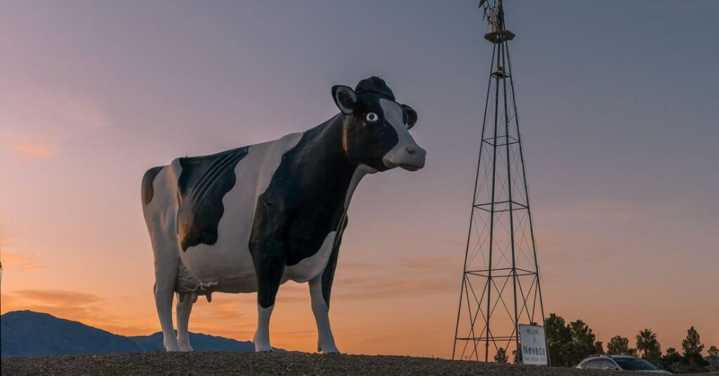 Things to do in Amargosa Valley Big Bovine of the Desert
