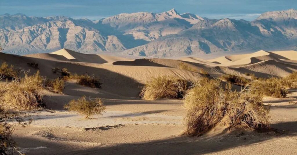 Things to do in Amargosa Valley  Valley Desert Trails