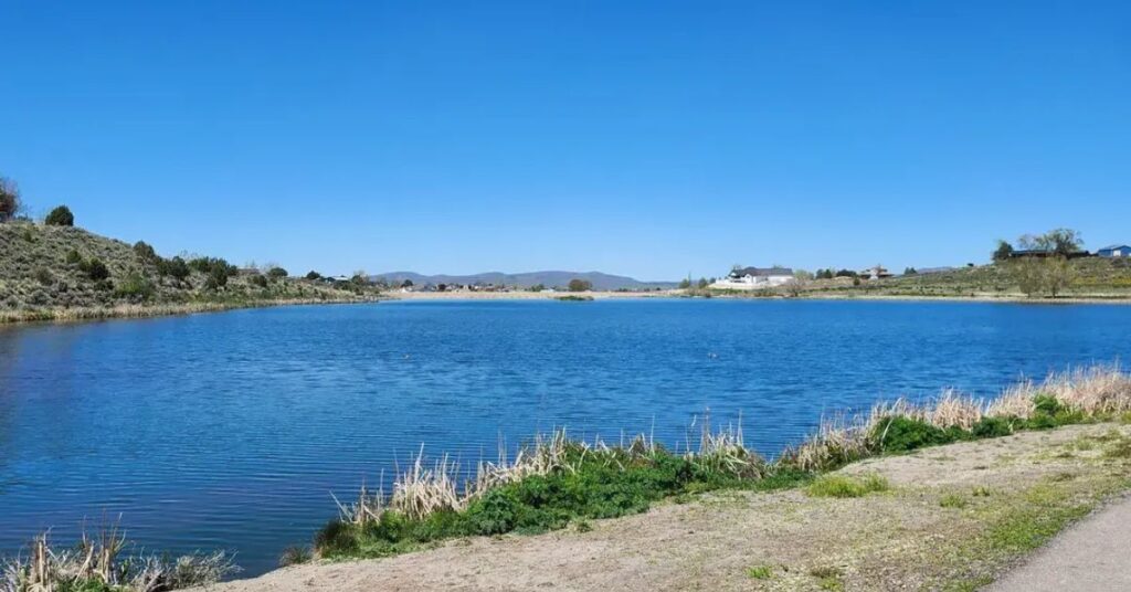 Things to do in Spring Creek Marina Area 