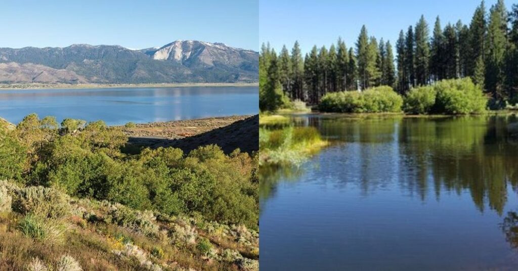 Things to Do in Washoe Valley Lake State Park and Davis Creek Regional Park
