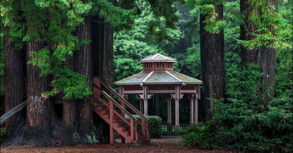 Things to do in Eureka showing Sequoia Park with shaded walking paths, green open space, and a calm natural setting