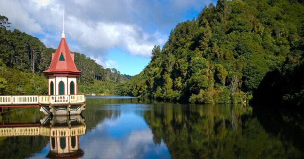 Things to Do in Wellington Zealandia Ecosanctuary