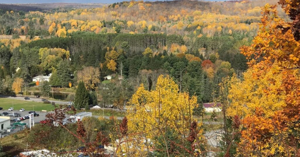 Things to do in Minden at Panorama Park Lookout showing wide valley views and surrounding mountain landscapes