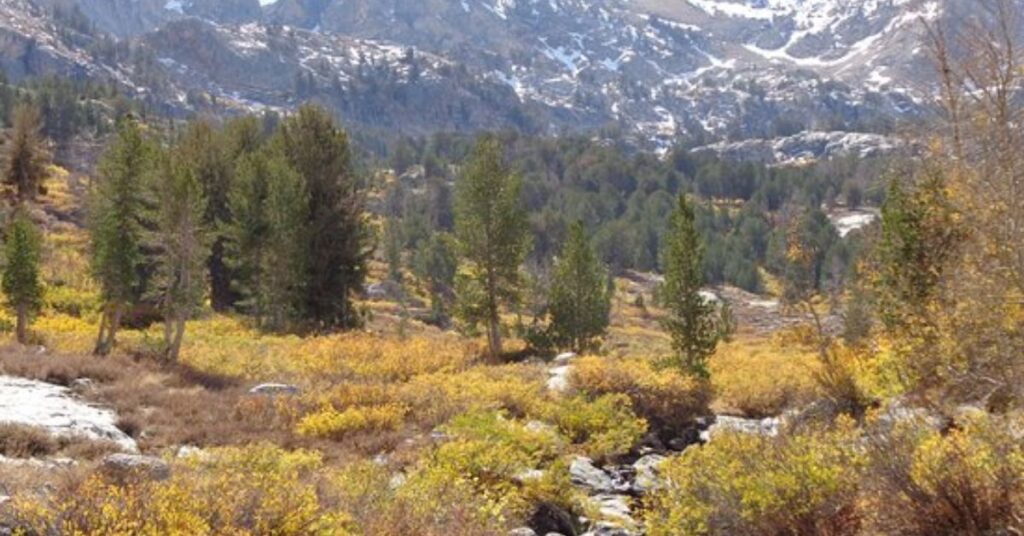 Things to Do in Elko Humboldt National Forest