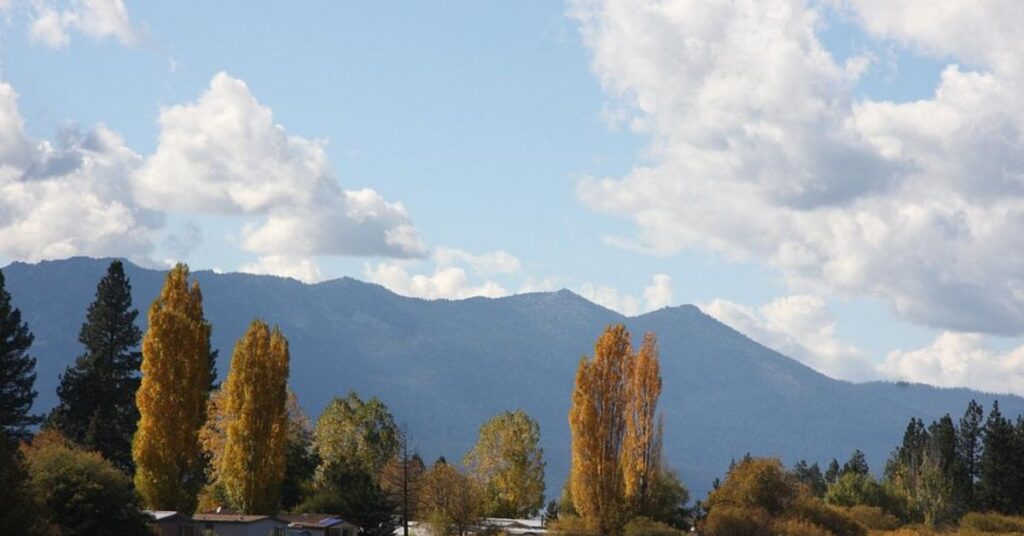 Things to do in Stateline Rabe Meadows