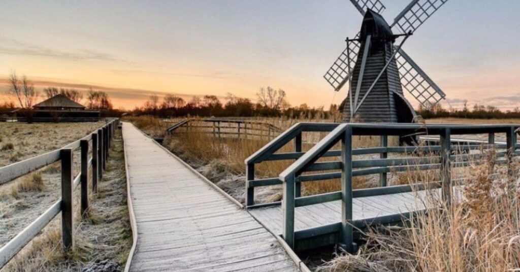 Things to Do in Ely Wicken Fen National Nature Reserve