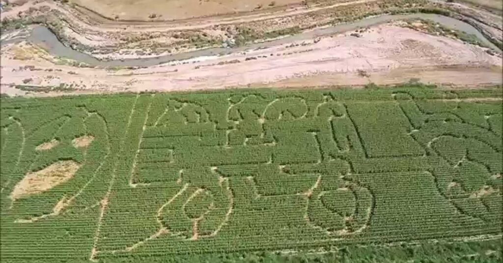 Things to do in Moapa Valley Corn Maze