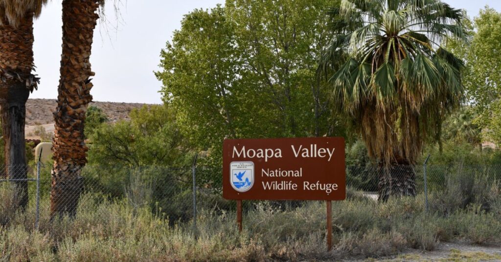 Things to do in Moapa National Wildlife Refuge