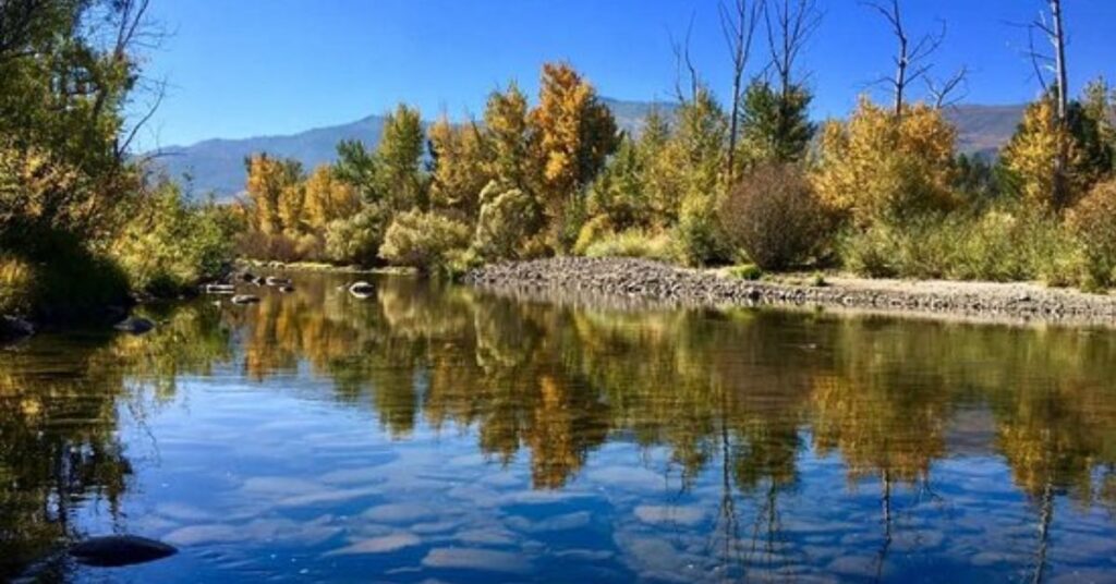 Things to Do in Verdi Von Schmidt Monument Historic Park