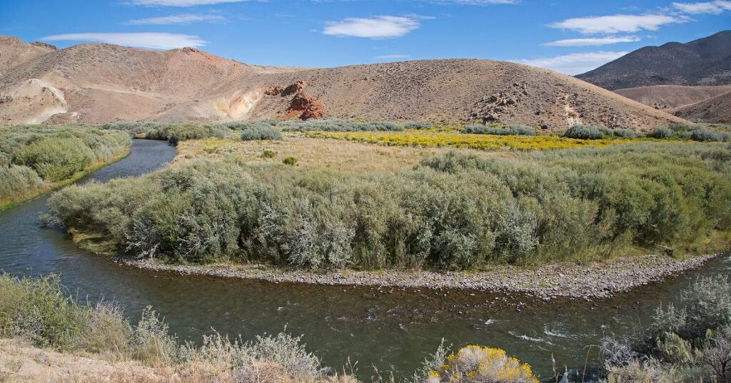Things to Do in Winnemucca Walker River Recreation Area 
