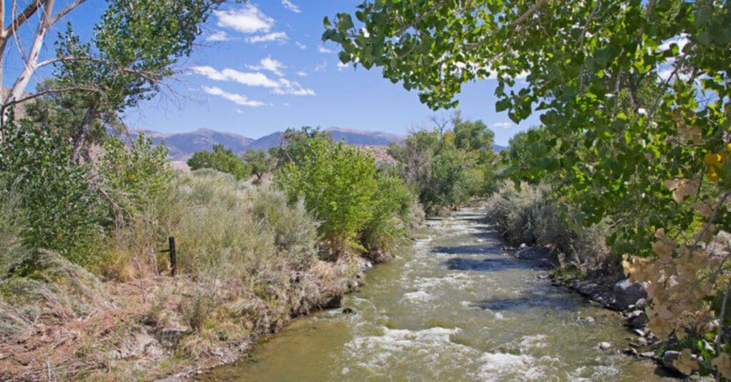 Things to Do in Yerington Walker River Recreation Area