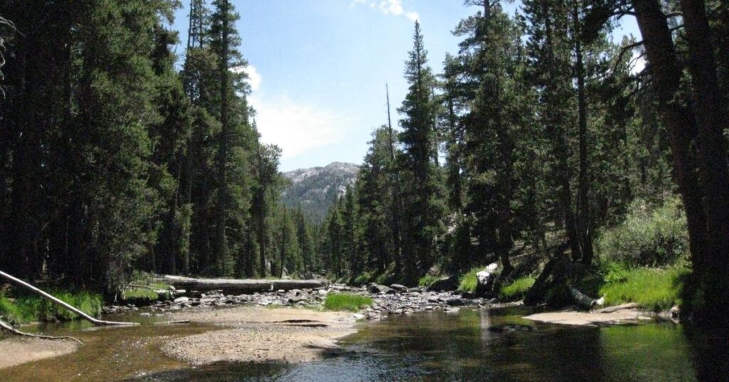 Things to Do in Schurz Walker River