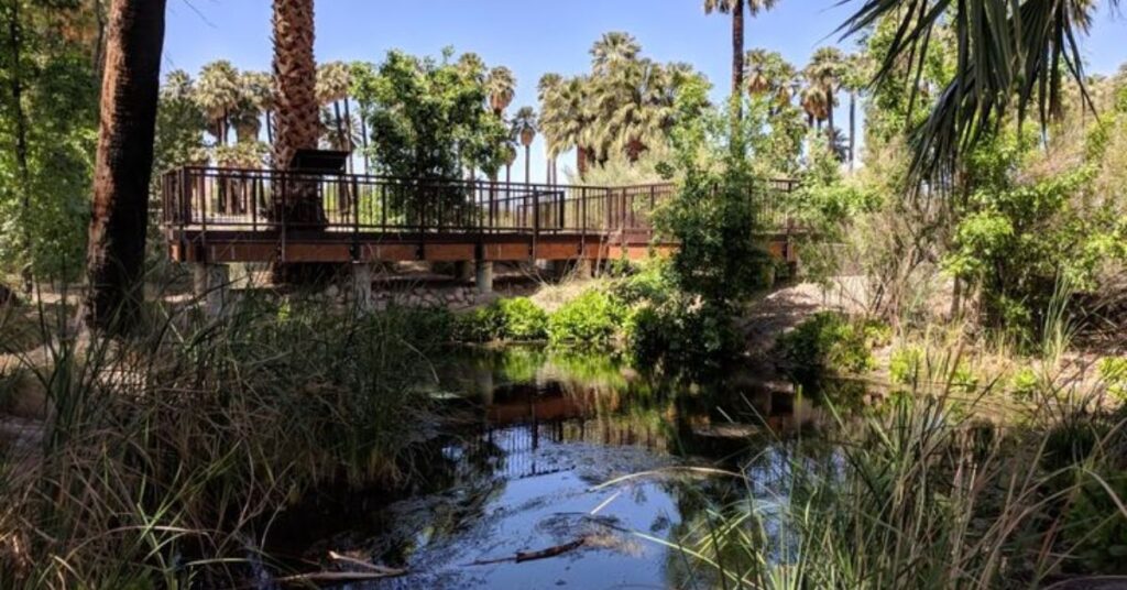 Things to do in Moapa Warm Springs Natural Area