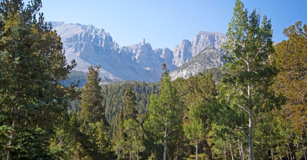 Things to Do in Baker Wheeler Peak Scenic Drive