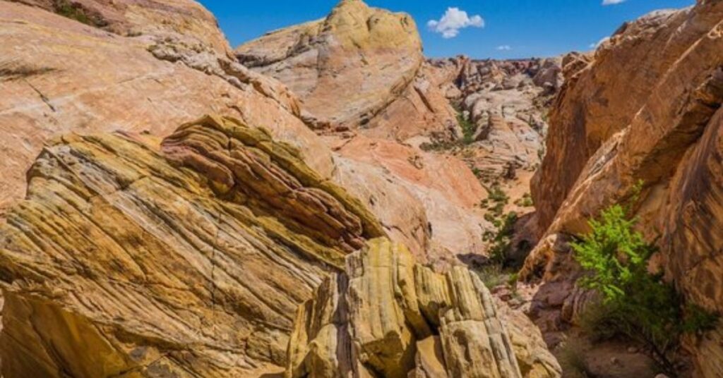 Things to do in Overton White Domes Trail