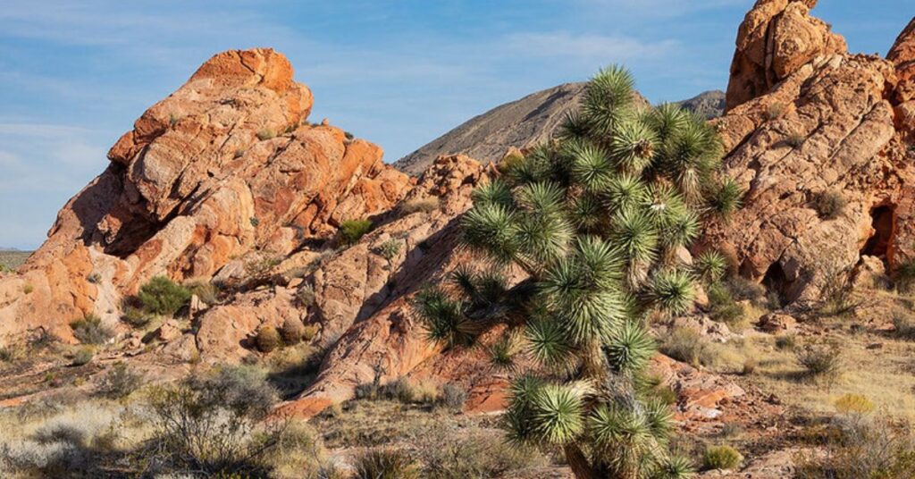 Things to Do in Mesquite Whitney Pockets