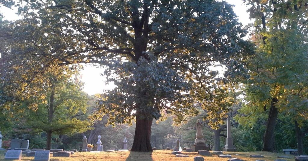 Things to do in Dayton Woodland Cemetery and Arboretum